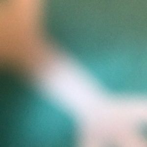 Meet your Posher, Harmony